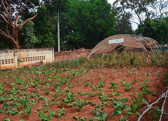 Green House Model Units