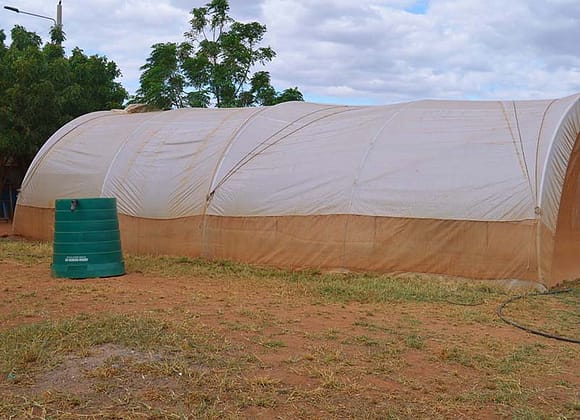 Green House Model Units